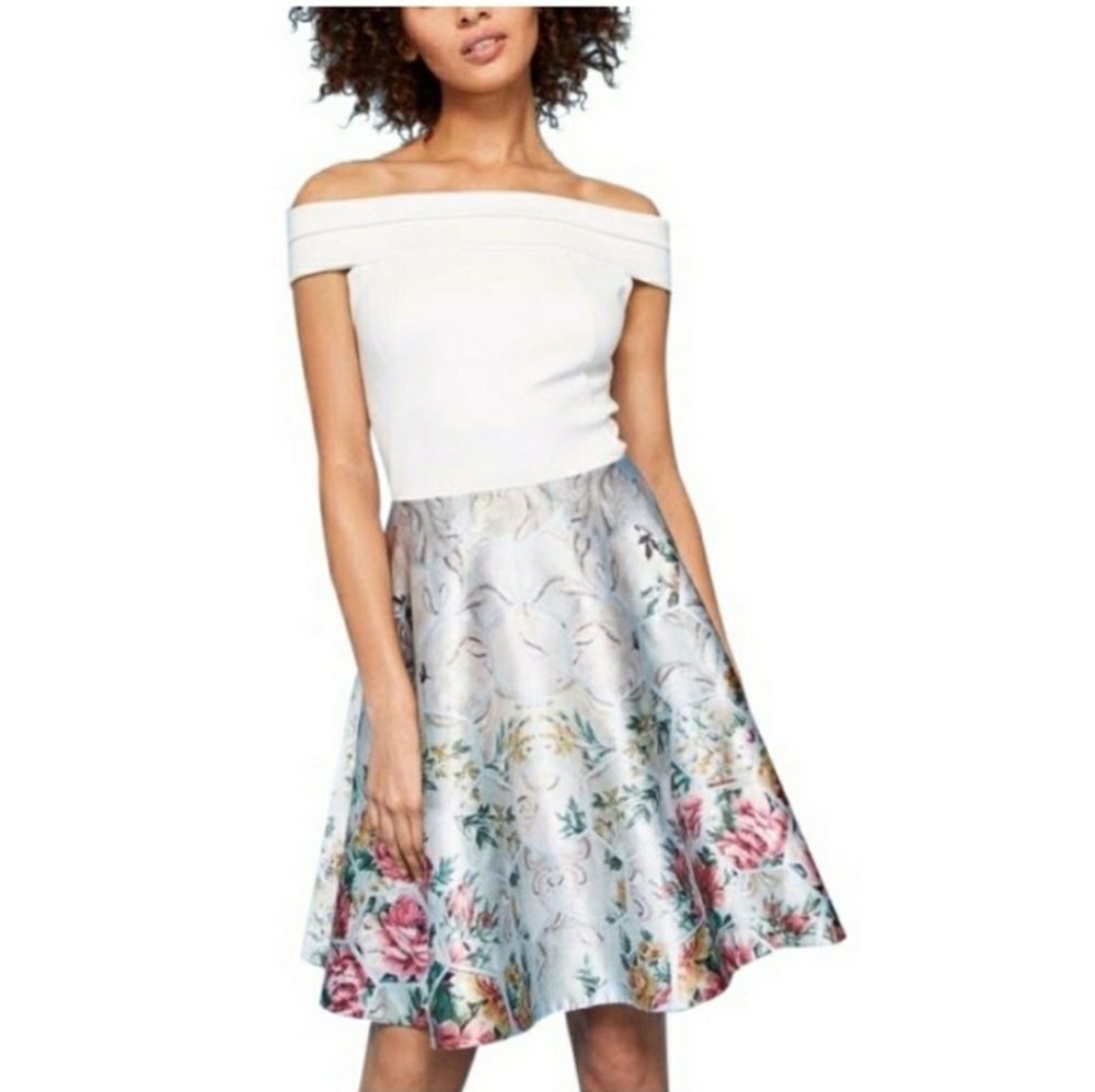 NWT Ted Baker dress